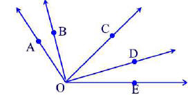 Properties of Geometric Shapes